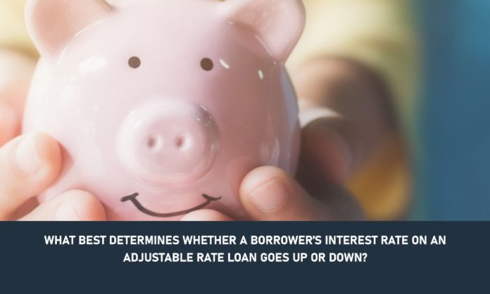 what best determines whether a borrower’s interest rate on an adjustable rate loan goes up or down