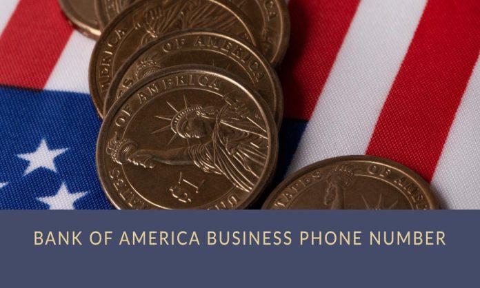 bank of america business phone number