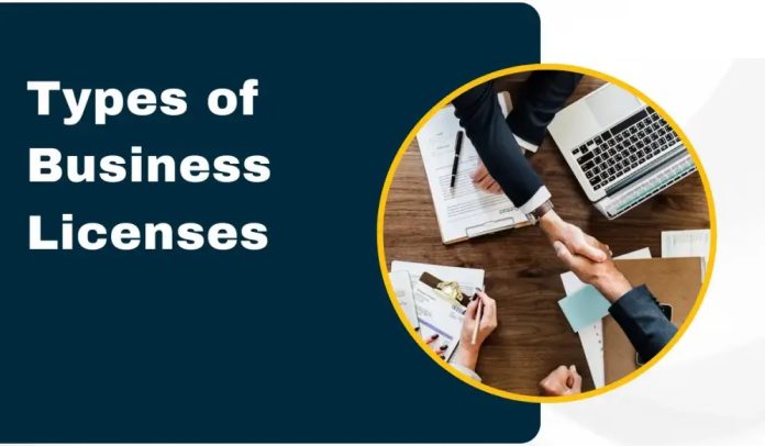 Types of Business Licenses